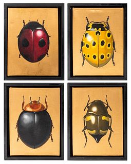 D.G.V. Four Beetles & Bugs Acrylic on Canvas, 4