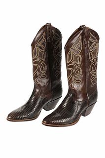 Dan Post Lizard & Leather Western Cowboy Boots