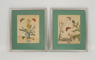(2) Moses Harris Hand Colored Engravings. Plate XI & XL.