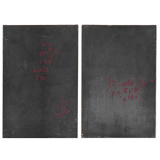 Helmut Lohr, Diptych with Deconstructed Text, 2003