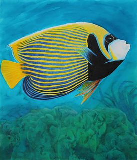 Chris Calle (B. 1961) "Emperor Angelfish"