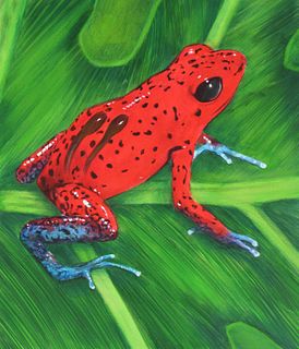 Chris Calle (B. 1961) "Red/Blue Poison Frog"
