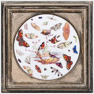 Derby Porcelain Circular Plaque with Birds and Insects