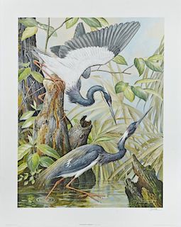 Basil Ede (1931- , English), "Louisiana Heron," 19