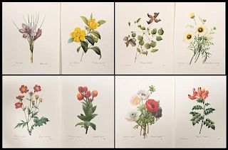 Pierre-Joseph Redoute (1759-1840), "Colored Floral