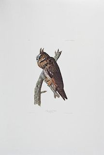 John James Audubon (1785-1851), "Black-Throated Bl