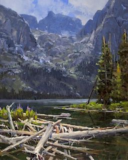 Jim Wilcox | Lake, Mountains, Logs