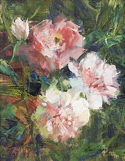 Cyrus Afsary | Carnations