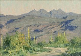 Matt Smith | Arizona Landscape