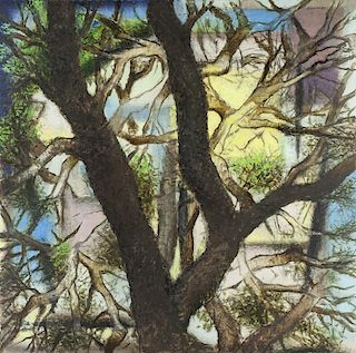 Edward Biberman | Tree in Patio