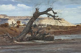 Ray Swanson | Navajo Land