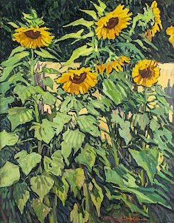 Robert Daughters | Giant Sunflowers