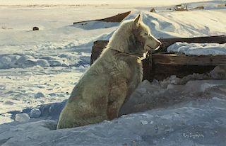 Ray Swanson | Alaskan Dog
