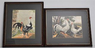 2 19th c. POULTRY WORLD COLOR LITHOGRAPHS CHICKENS