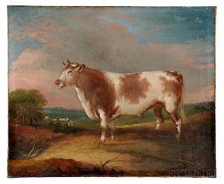 Anglo/American School, Late 19th Century      Portrait of a Bull
