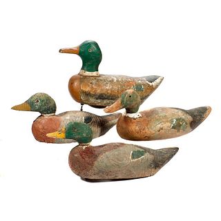 Group of Four Decoys.