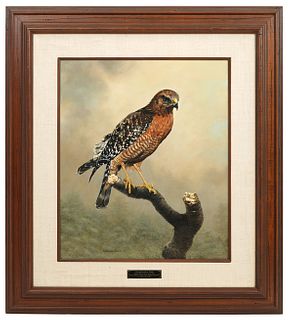 Charles Frace 'Red Shouldered Hawk' Painting 1978