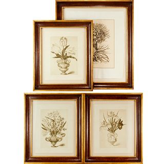 Set (4) Trowbridge Gallery botanical prints