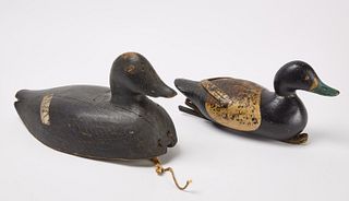 Two Decoys