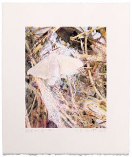 Kiki Smith (German / American, b.1954) 'Silk Moth' Risograph