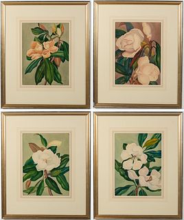 Mercedes Erixon Hoshall, Magnolias, 4 Works, W/C