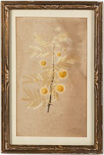 Flowering Branch, Watercolor on Paper