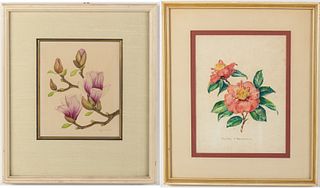 Two Watercolors of Flowers