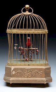 Early Single Bird in Cage Automaton.
