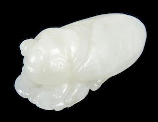 Chinese White Jade Figural Cicada