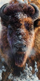 Bonnie Marris (b. 1951) Winter Buffalo