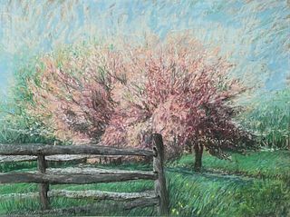 Herman Margulies, Pastel, Apple Tree in Bloom