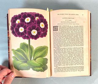 Floral World and Garden Guide (1872)