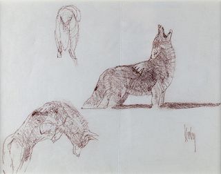 Coyote Study by Bob Kuhn