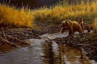 River Grizzlies by Paco Young