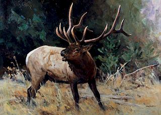 Bull Elk Portrait by Ken Carlson