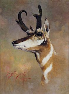 Antelope by E.S. Paxson
