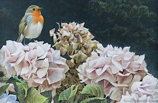 European Robin and Hydrangeas by Robert Bateman