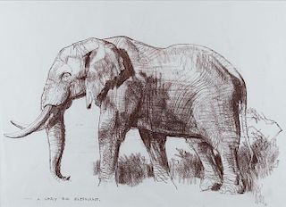 A Very Big Elephant by Bob Kuhn