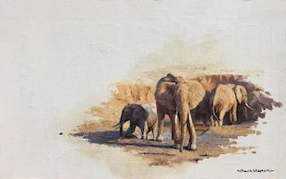 Elephant Country Tsavo by David Shepherd