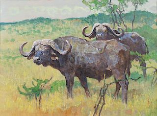 Cape Buffalo by Bob Kuhn