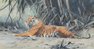 Reclining Tiger by Friedrich Wilhelm Kuhnert