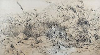 Tigers by Richard Friese