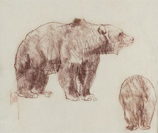 Grizzly Study by Bob Kuhn