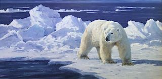 Polar Ice Pack by Ken Carlson