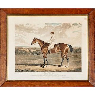 GROUP OF EQUESTRIAN PRINTS