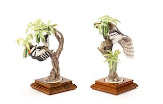 Pair of Dorothy Doughty Ornithological Sculptures