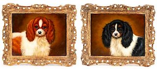 Collection Of Two Portraits Of Cavalier Spaniels