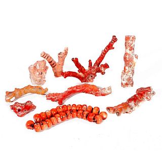 Group of Red Coral Specimens.
