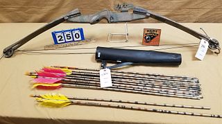DARTON COMPOUND BOW AS IS AND QUIVER W/ ARROWS