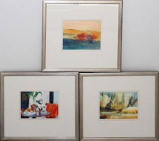 BILL HOUSE PASTELS 3 PIECES